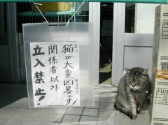 【お題日記】あなたのこの夏の目標を教えてください！