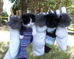 【お題日記】どんな人と付き合えば幸せになれると思う？