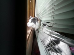 【お題日記】Hの時のヒヤヒヤ体験