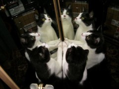 【お題日記】旅先に必ず持って行くものは？