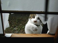 【お題日記】急なチャンスのために毎日準備万端？