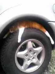 【お題日記】8月ラスト週！あなたの宿題は？