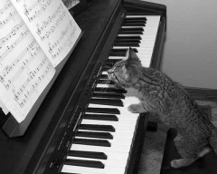 【お題日記】2番目に好きな人と結婚した方が幸せ？