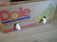 【お題日記】意外とエロイと思う職業