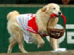 さよならミッキー…