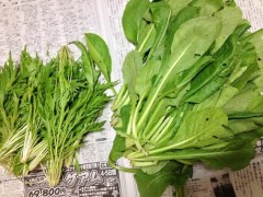 美味しい野菜！