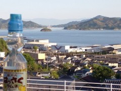 はっさく、好きですか？