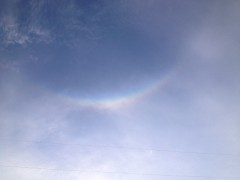 これ、何ですかね