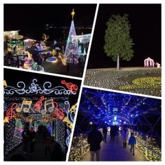 電飾っていいですね