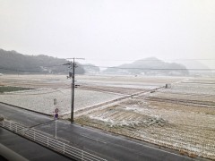 関東はこんなもんじゃないらしいですね