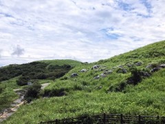 石でできたひつじ