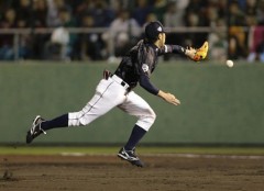 日本が誇る美技！