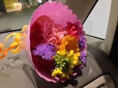 またサクラサクです