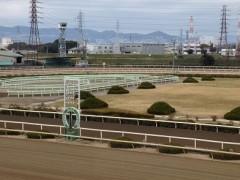 楽しい場所でした