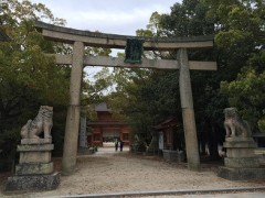 大きなクスノキがお迎えです