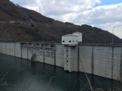 やはり水辺は素晴らしいです