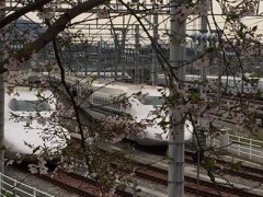 風が吹くたび舞い上がり