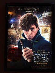 年末は映画ですね