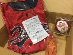 優勝翌年の開幕待ち