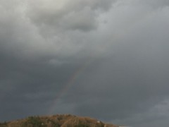 涙を流し終えた空に
