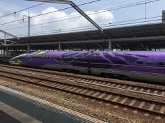 帰ってきました