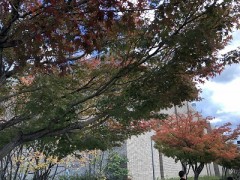 もう少しでしょうか