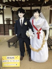 秋が深まっています