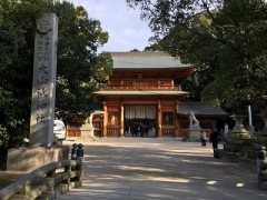 ウサギの次は神様でした