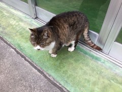 世代間格差はあるのか