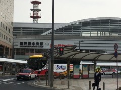 かごしまいただきもした