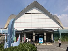 ここ、わっぜよかじゃっど