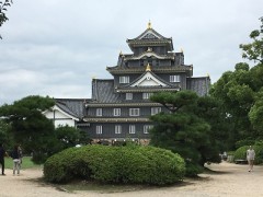 ライトアップもいいですよね