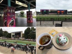 広すぎて全部見れてない（泣）