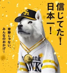 思うところはありますが…