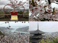 不思議な時間が流れる町