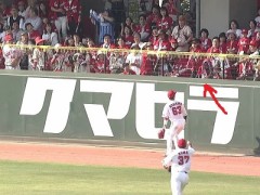 すごいものが見れましたね