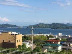 海が恋しくなるんです