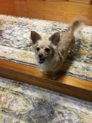 嵐の夜の出来事