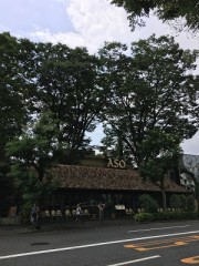 それでも人生は素晴らしいと