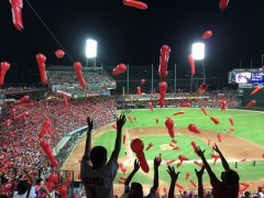 遅ればせながら観戦記