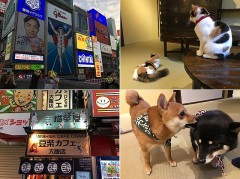 生きとし生けるすべてのものへ