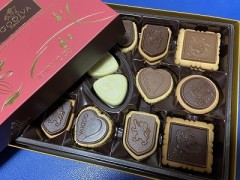 あらゆる言い訳を用意して