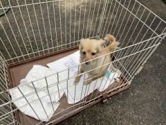 しみじみしている暇はないんですけど