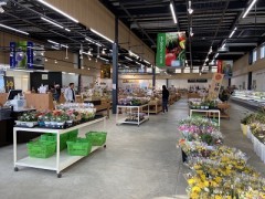 余裕はないのに何もできんし