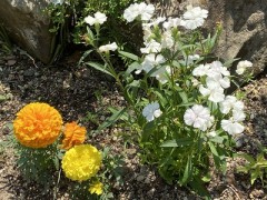 アイワナビーアきみのすべて