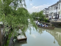 倉敷川は何年ぶりでしょうか