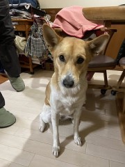 おつかれさまは疲れてるんだ