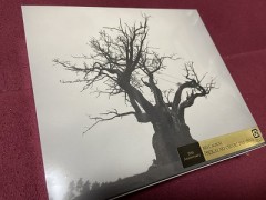 夕陽が僕を起こして