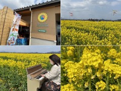 見わたす山の端かすみ深し