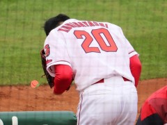 キクさんちょっと瘦せたかな？